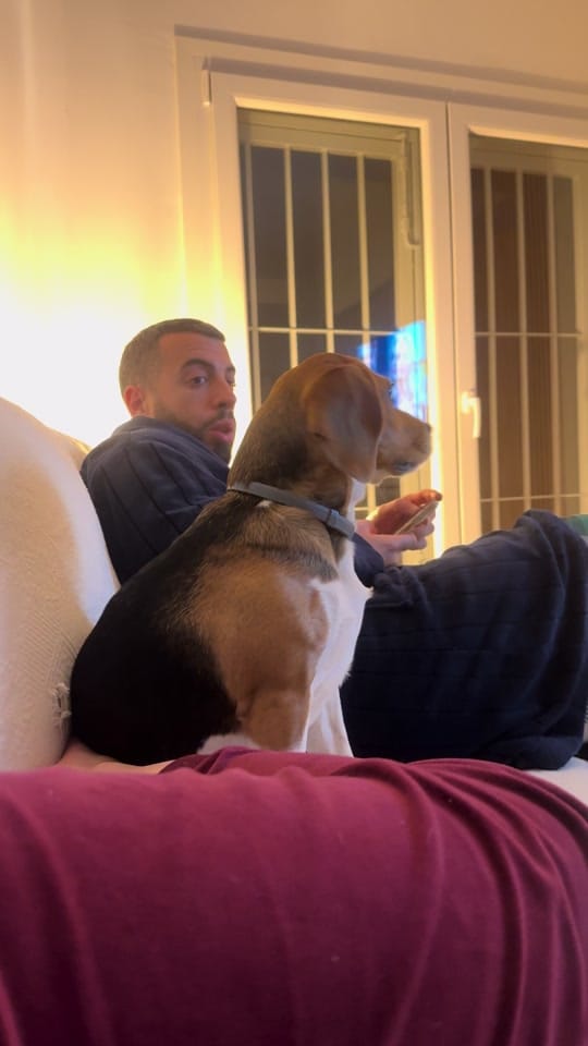 Post 2 by Marta Ruiz on TikTok (video)