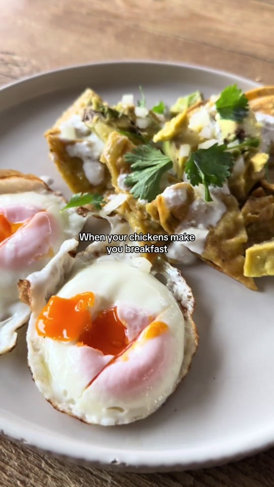 Post 2 by Hannah Medellin on TikTok (video)
