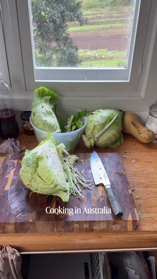 Post 3 by Kate on TikTok (video)