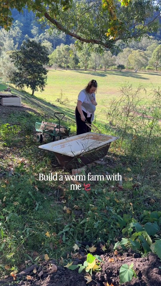 Post 8 by Kate on TikTok (video)