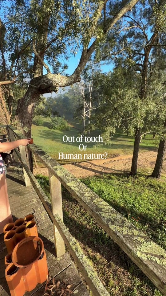 Post 10 by Kate on TikTok (video)