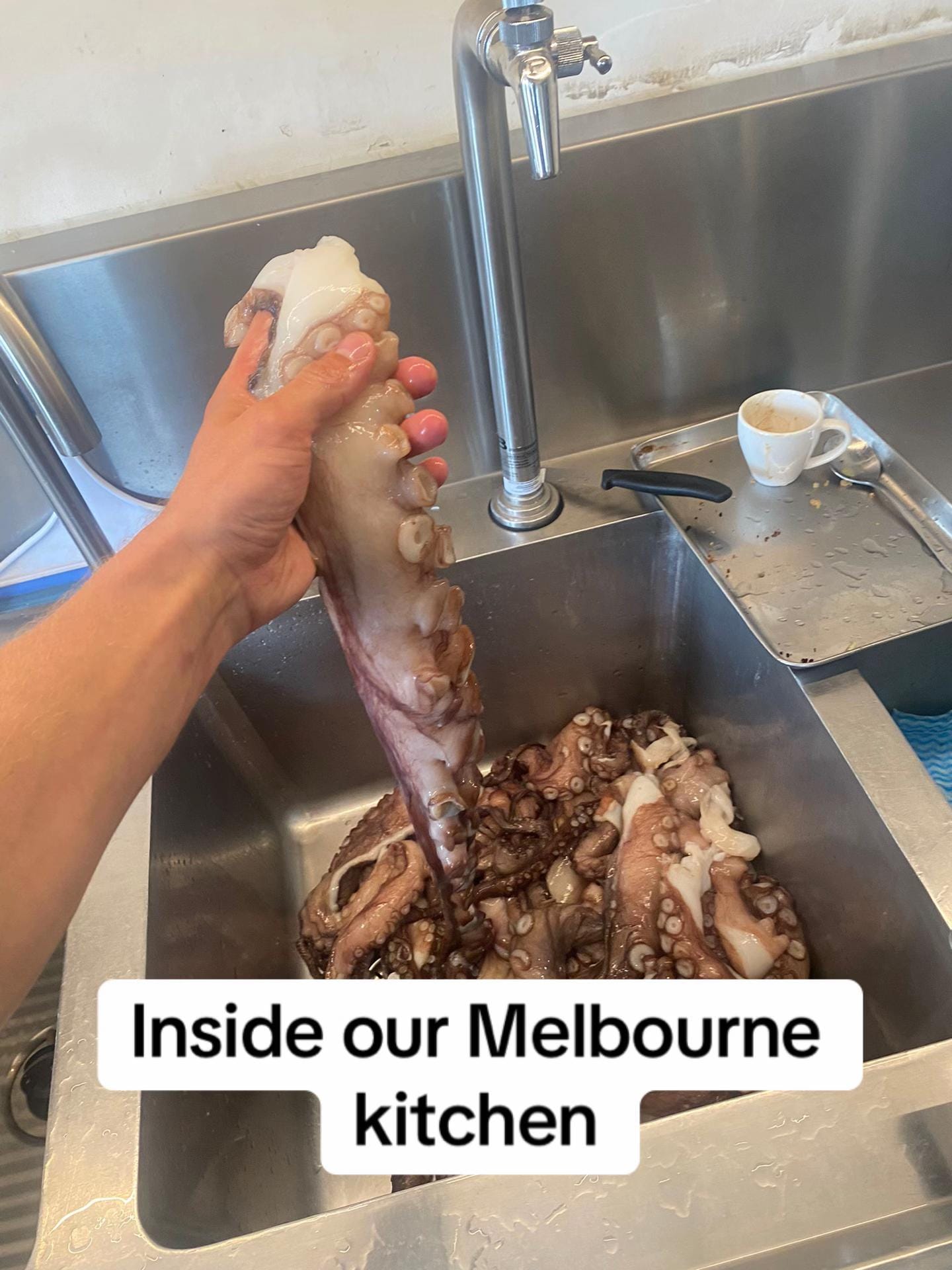 Post 5 by joseph.allenn on TikTok (video)