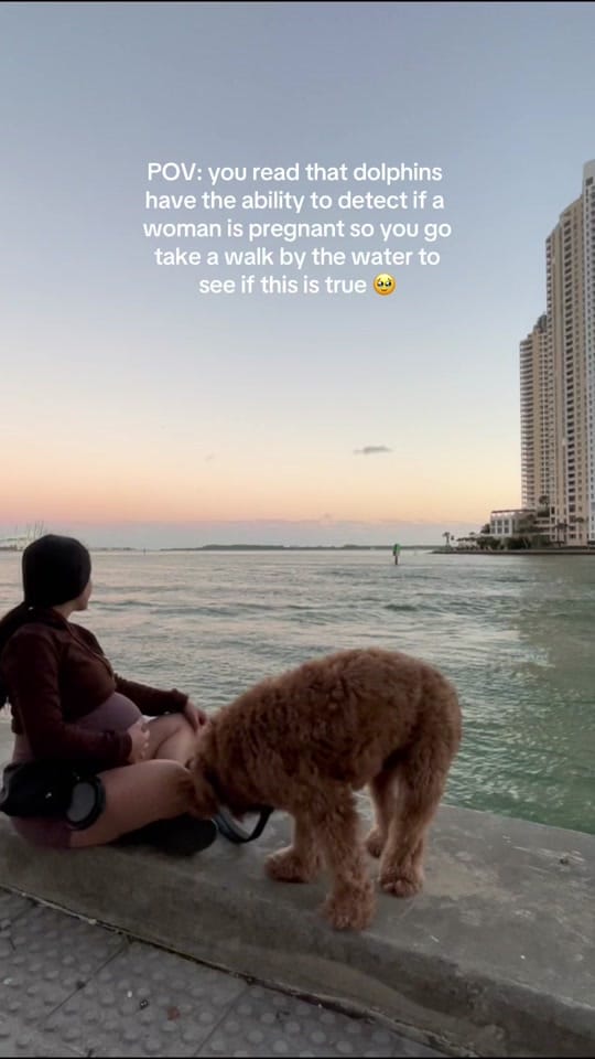 Post 9 by pau 💗 on TikTok (video)