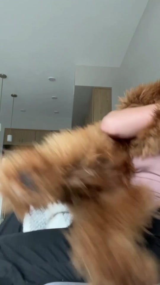 Post 10 by pau 💗 on TikTok (video)