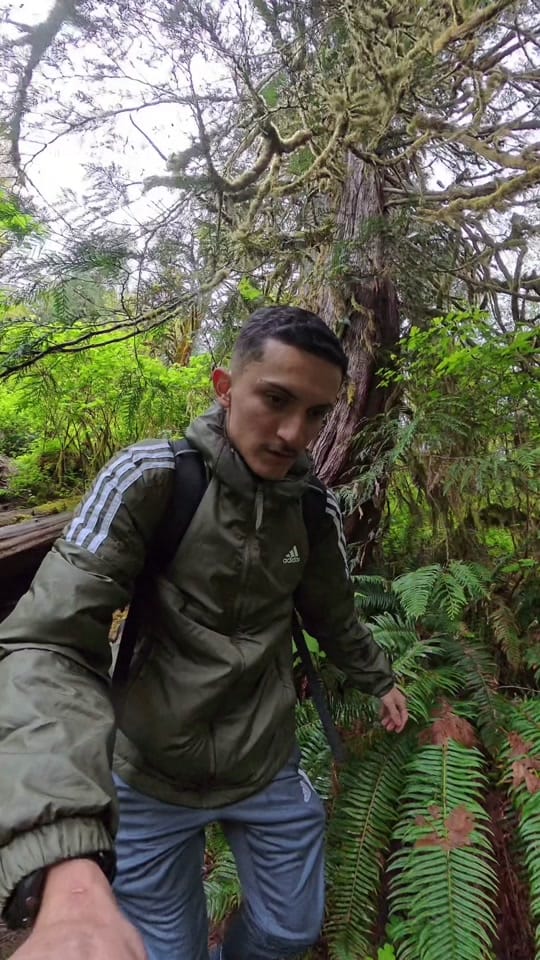 Post 7 by Jose Rodriguez on TikTok (video)