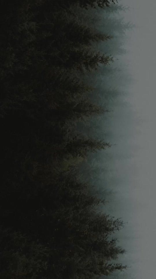 Post 2 by Nibin Babu on TikTok (video)