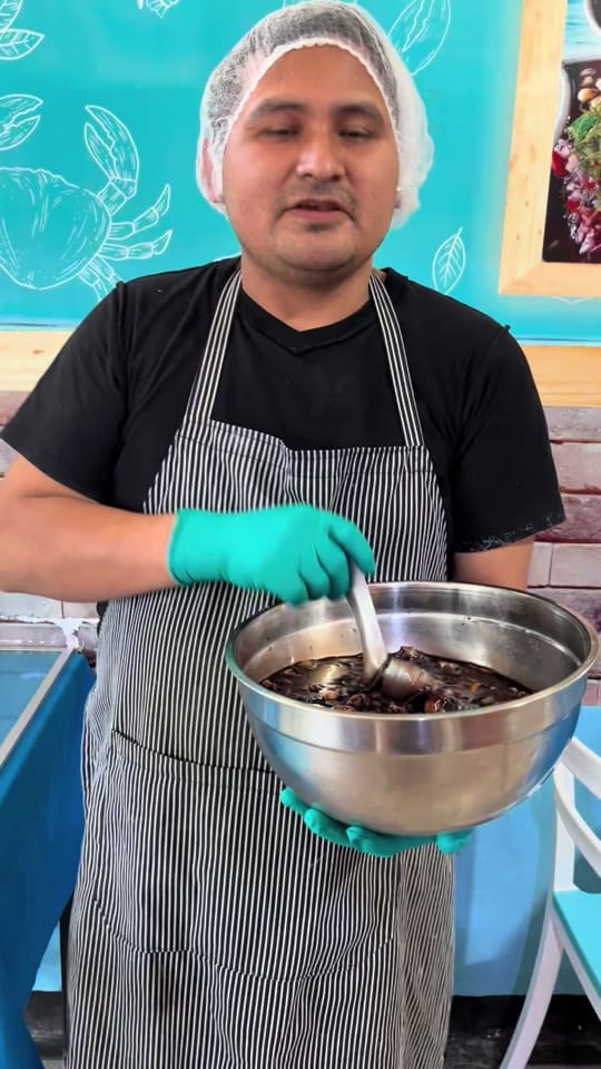 Post 2 by Conchas&Conchas on TikTok (video)