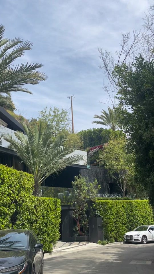 Post 8 by Jessica Michalov on TikTok (video)