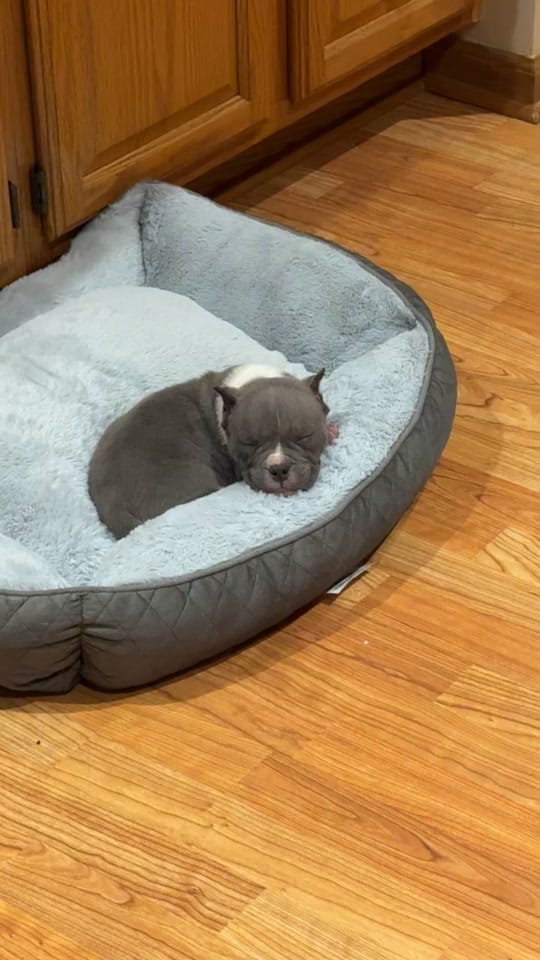 Post 2 by AMBER on TikTok (video)