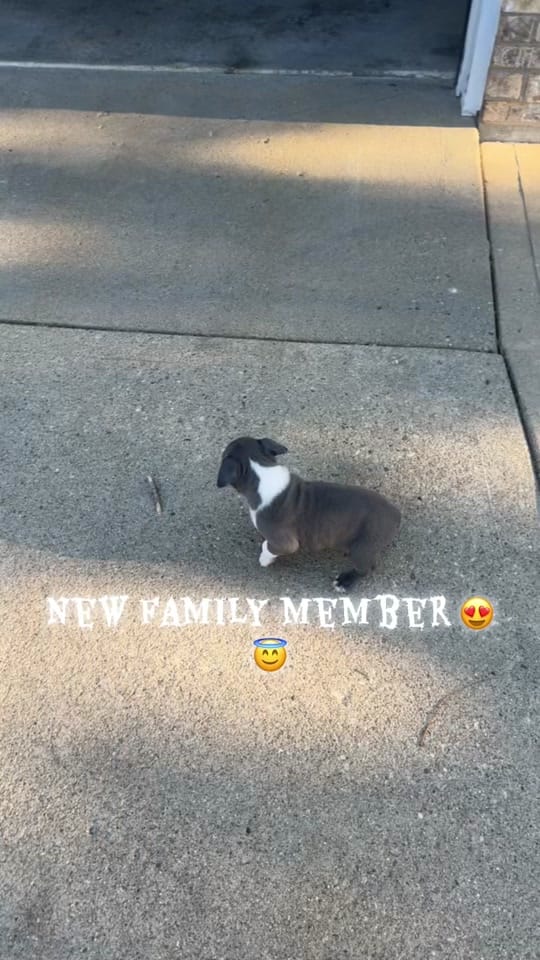 Post 5 by AMBER on TikTok (video)