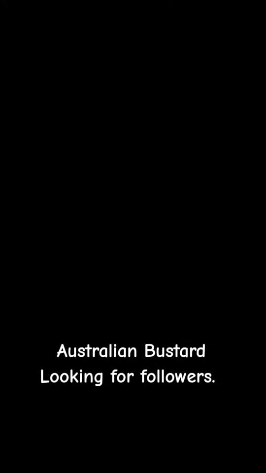 Post 5 by Healthbits 🇦🇺 on TikTok (video)