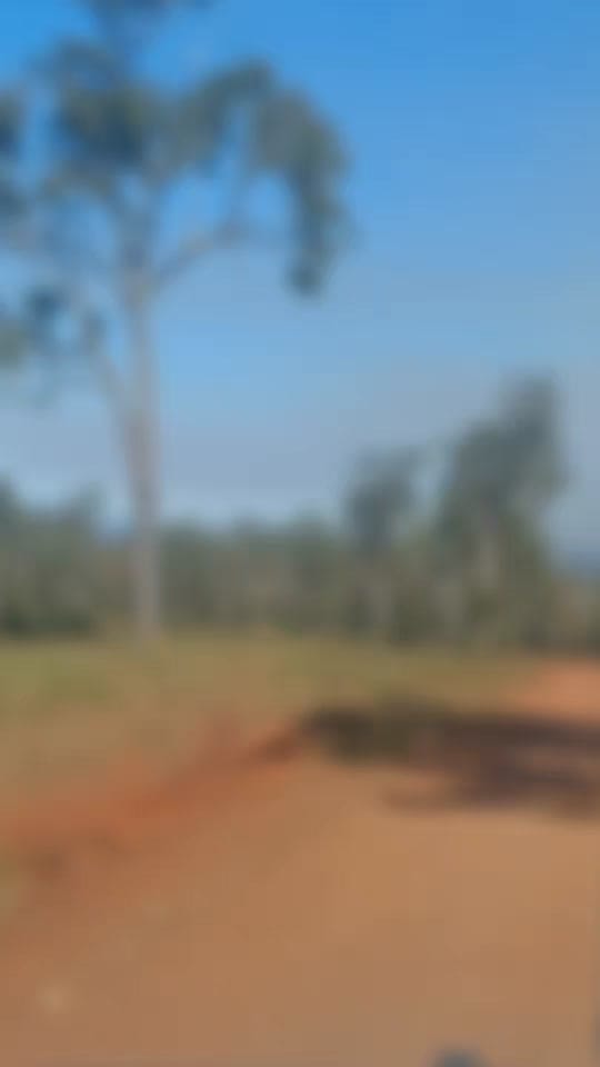 Post 2 by Healthbits 🇦🇺 on TikTok (video)