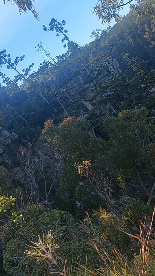 Post 1 by Healthbits 🇦🇺 on TikTok (video)