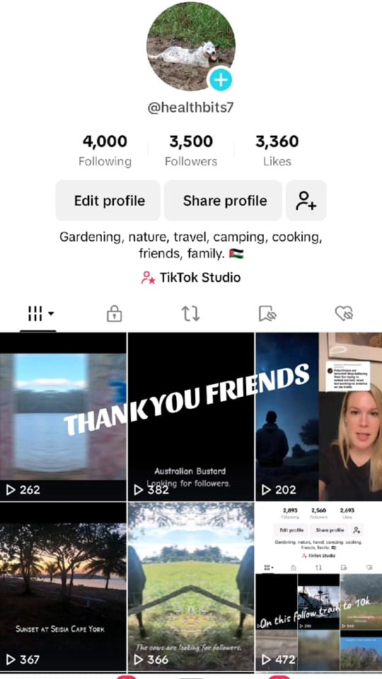 Post 3 by Healthbits 🇦🇺 on TikTok (video)
