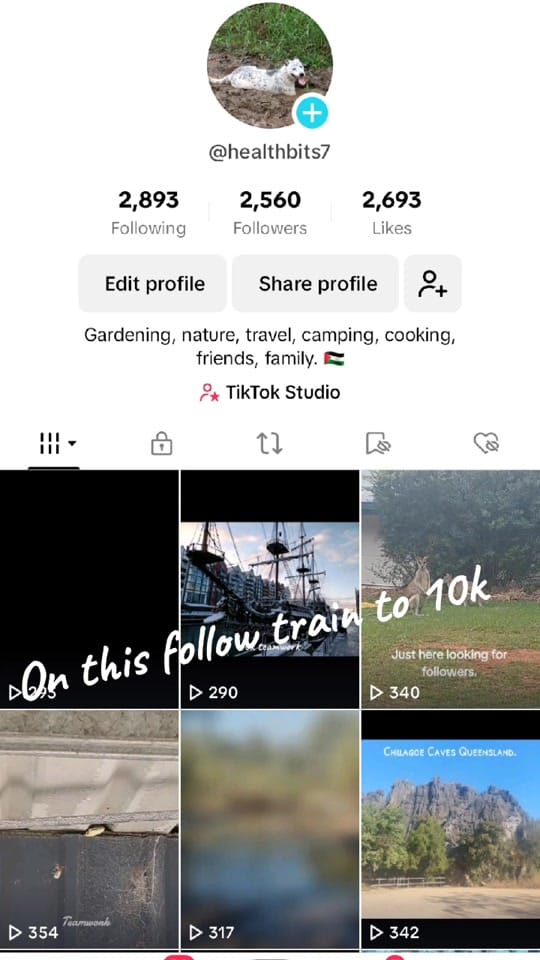 Post 9 by Healthbits 🇦🇺 on TikTok (video)