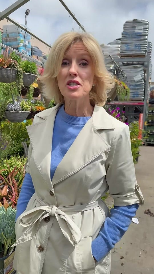 Post 6 by Silicon Valley Realtors on TikTok (video)