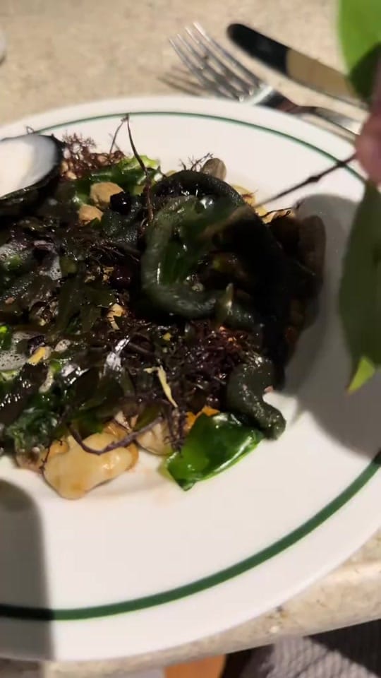 Post 1 by Chef Ícaro on TikTok (video)