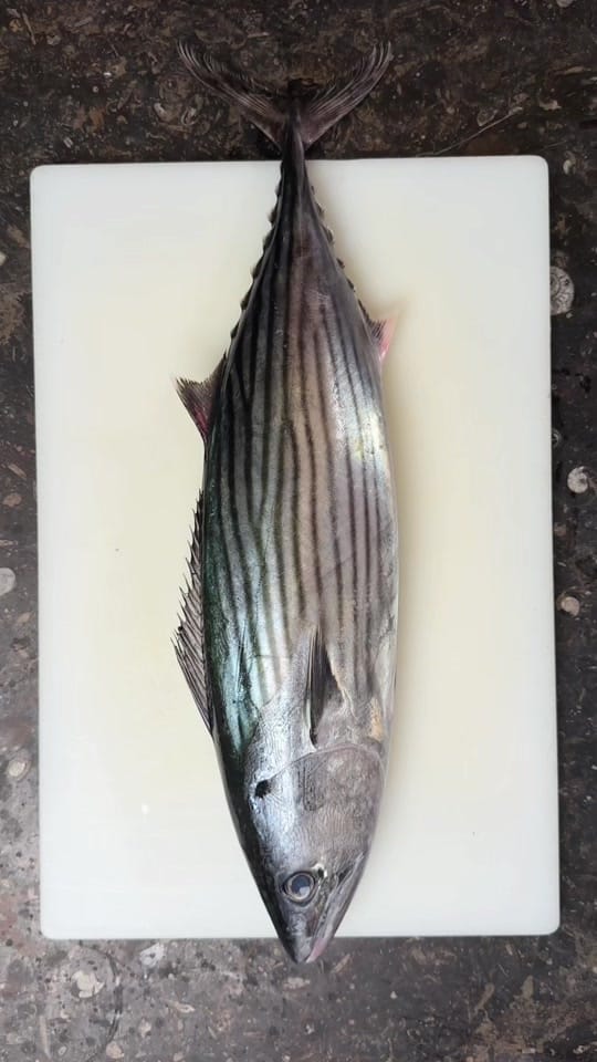 Post 2 by Sydney Seafood School on TikTok (video)