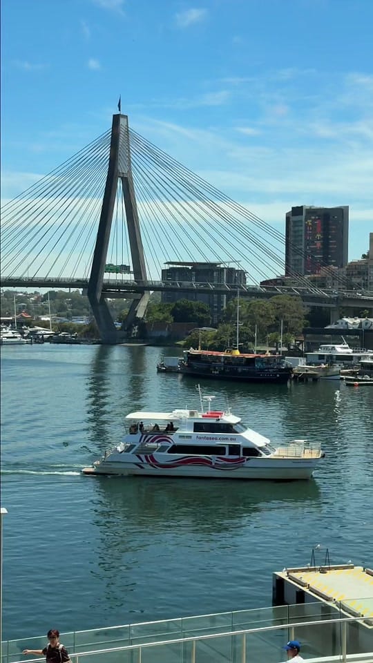 Post 9 by Sydney Seafood School on TikTok (video)