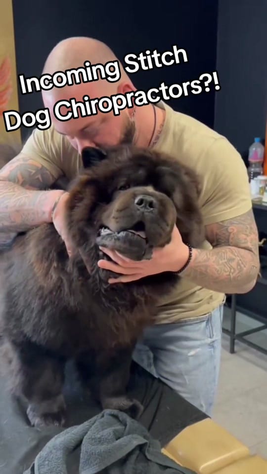 Post 3 by Matt Ward on TikTok (video)