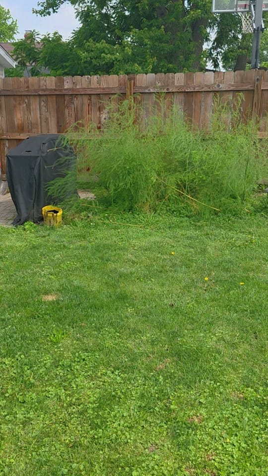 Post 9 by Matt Ward on TikTok (video)