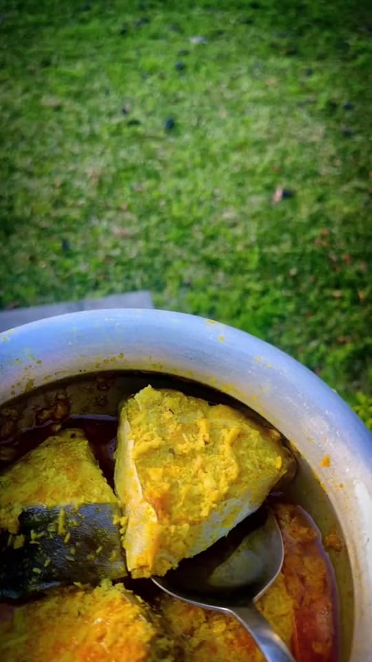 Post 10 by Rashedul Hasan on TikTok (video)