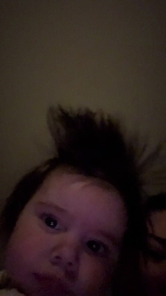 Post 1 by Grace Hart | FTM | PNW🌲 on TikTok (video)