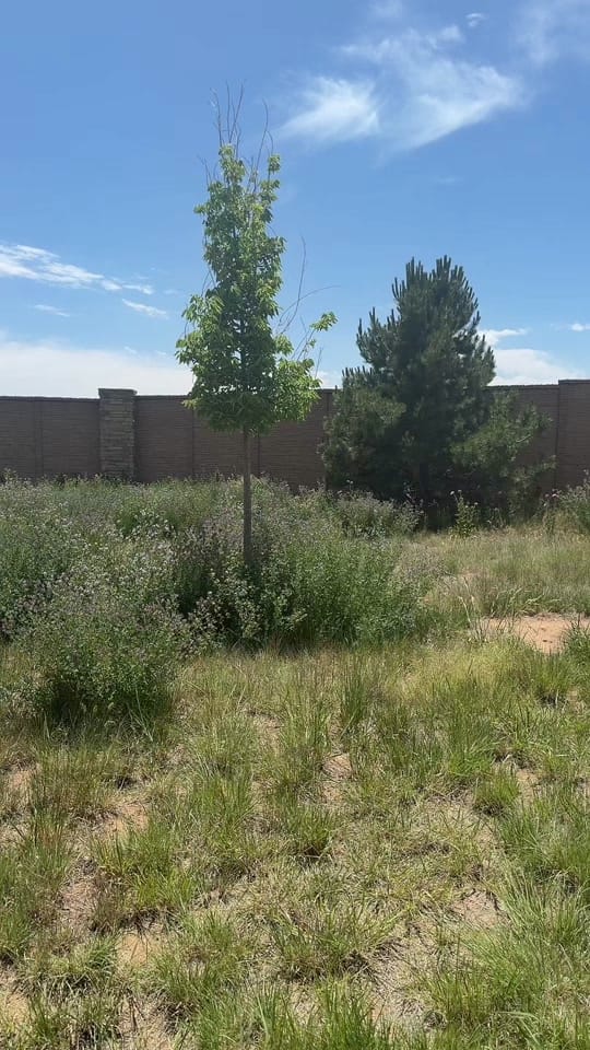 Post 7 by Genesis | Real Estate Agent on TikTok (video)