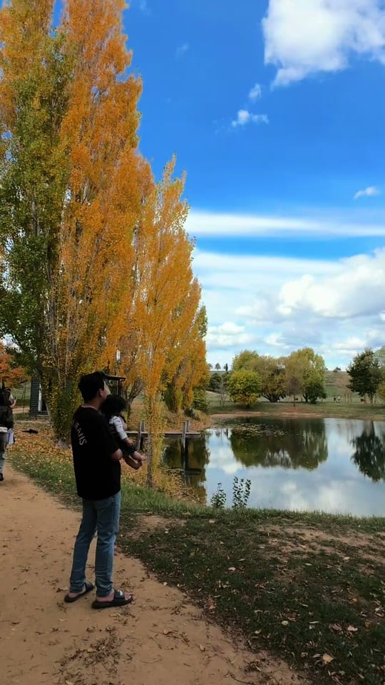 Post 2 by Lisa Nguyen on TikTok (video)