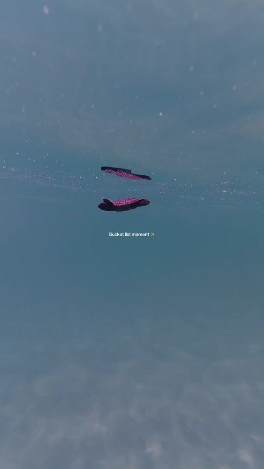 Post 4 by newmannewplaces on TikTok (video)