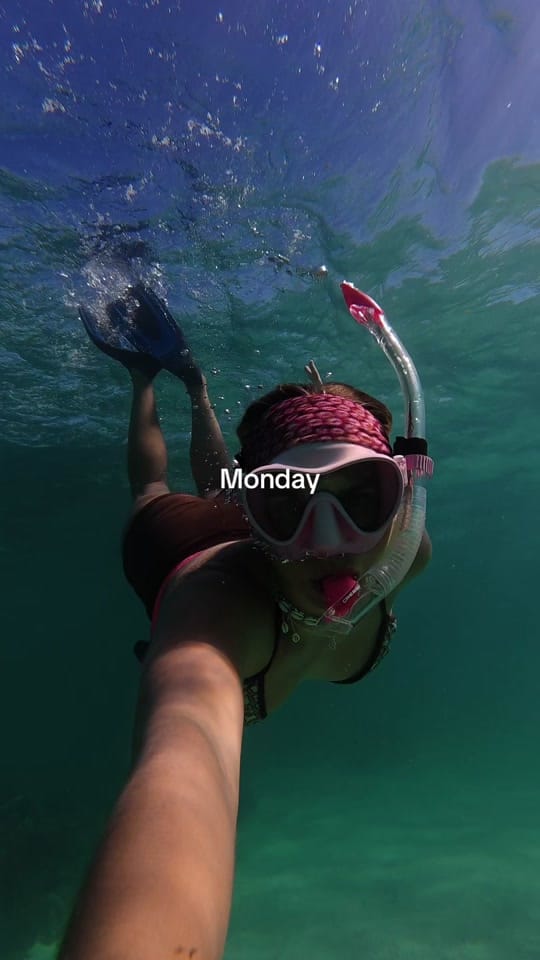 Post 5 by newmannewplaces on TikTok (video)