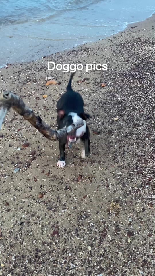 Post 9 by Joshua Griffen on TikTok (video)