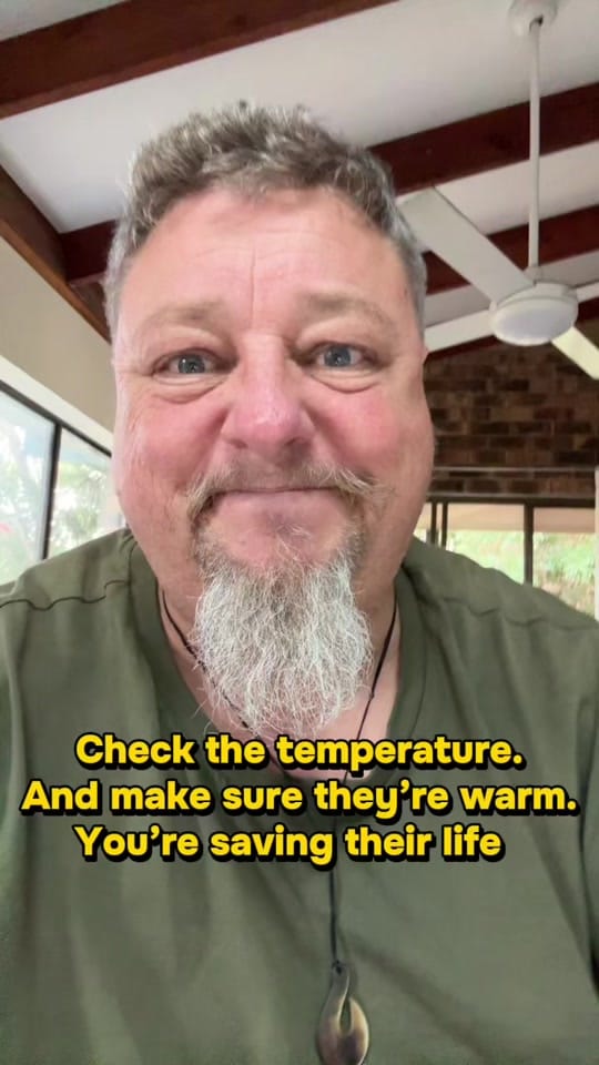 Post 4 by Nurse Rob - ECT4Health on TikTok (video)