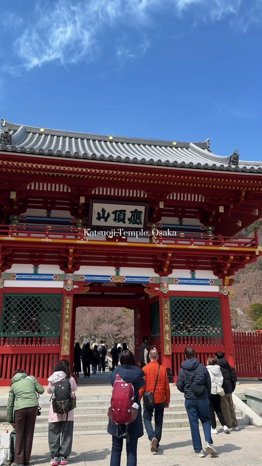 Post 8 by Nyasha| Travel & lifestyle on TikTok (video)
