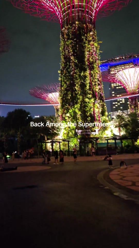 Post 5 by Paul's Sydney and Travels on TikTok (video)