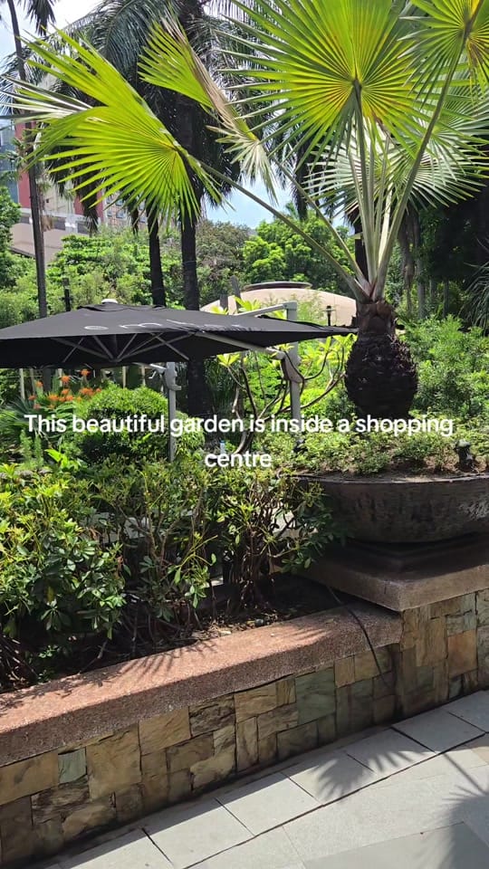 Post 6 by Paul's Sydney and Travels on TikTok (video)