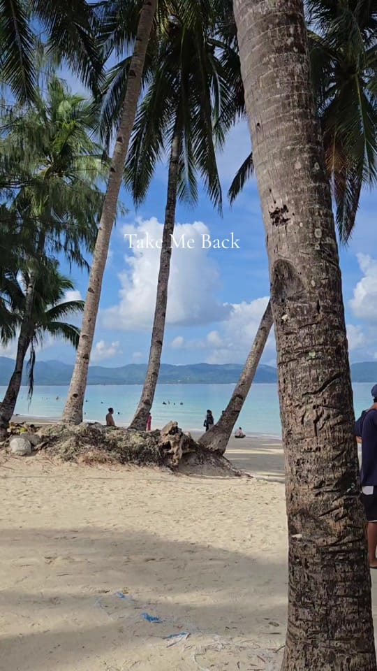 Post 3 by Paul's Sydney and Travels on TikTok (video)