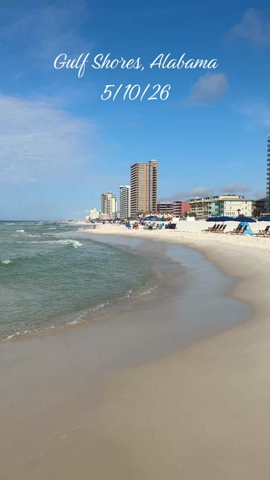 Post 4 by Gulf Shores Fam on TikTok (video)