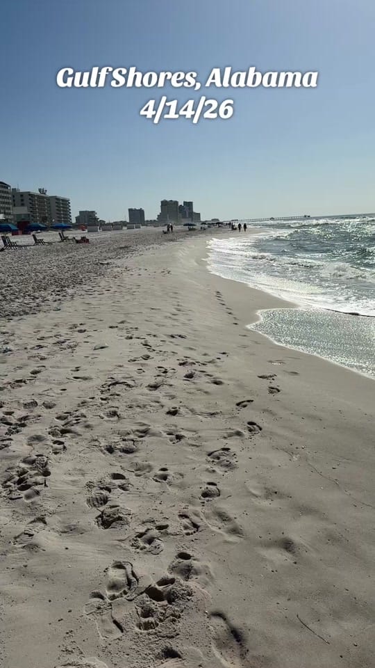 Post 6 by Gulf Shores Fam on TikTok (video)