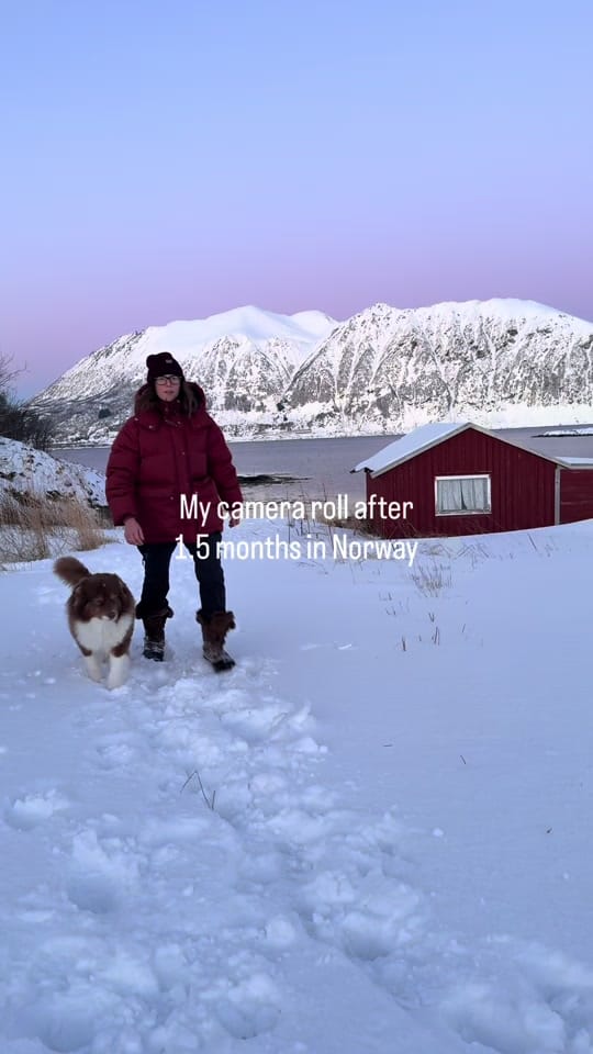 Post 5 by somewherewithpaws on TikTok (video)