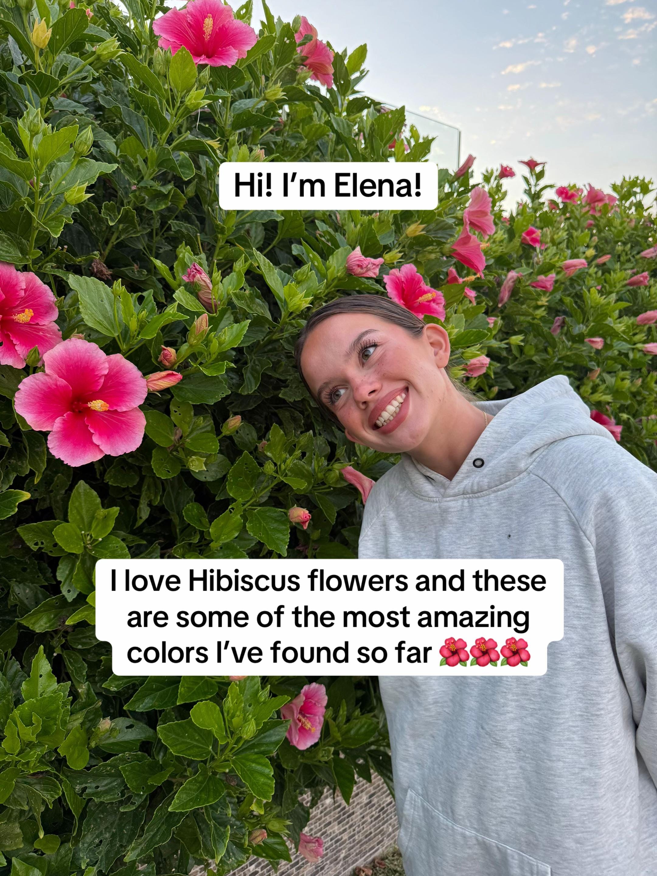 Post 8 by Elena Atienzar on TikTok (video)
