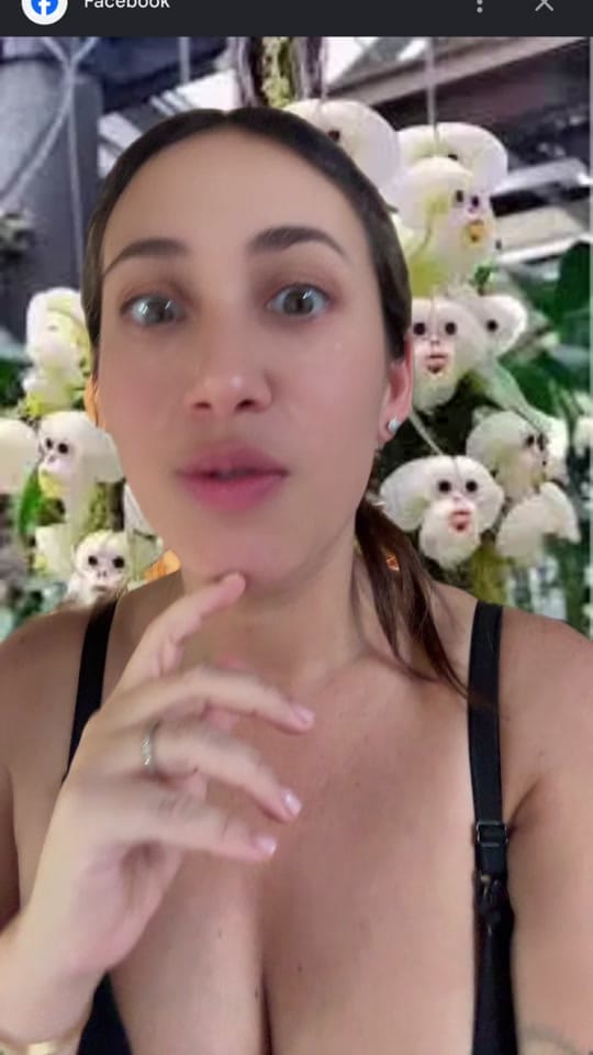 Post 3 by Sarah Asaly on TikTok (video)