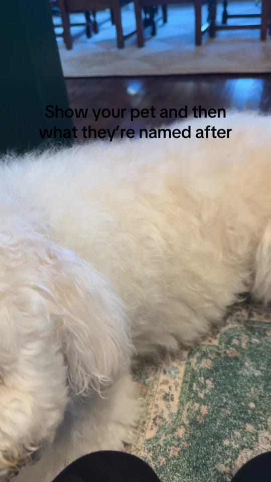 Post 2 by Sarah Asaly on TikTok (video)