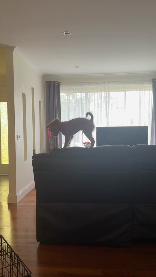 Post 3 by Gibbo & Tarn Adventures on TikTok (video)