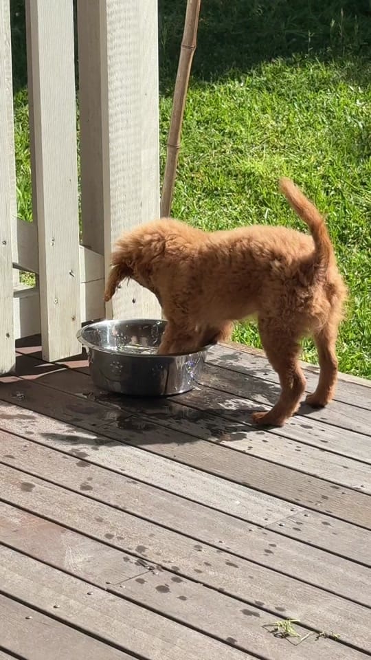 Post 4 by Gibbo & Tarn Adventures on TikTok (video)