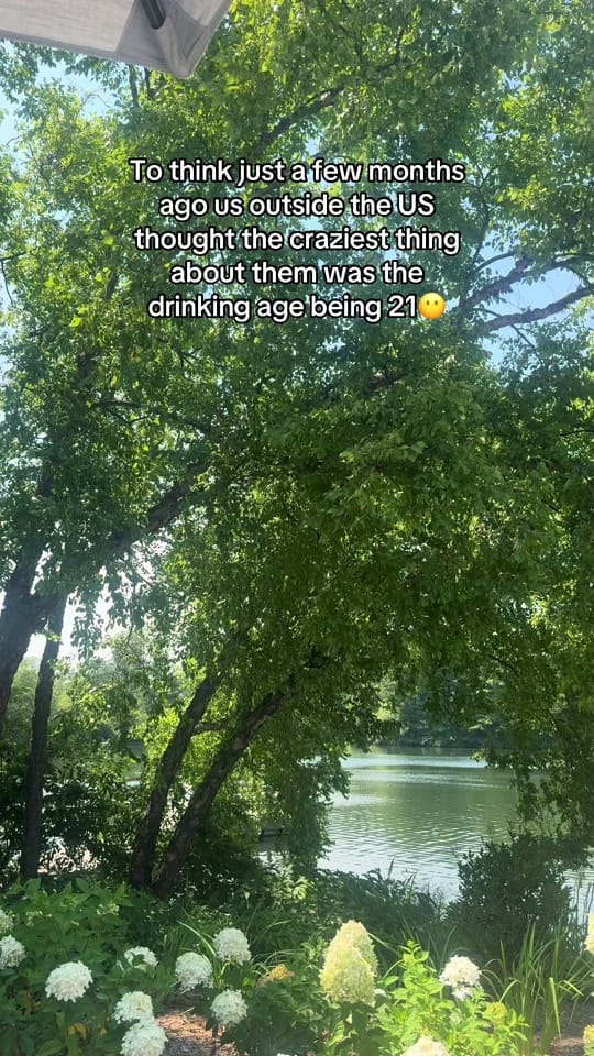 Post 3 by Abbie🌲 on TikTok (video)