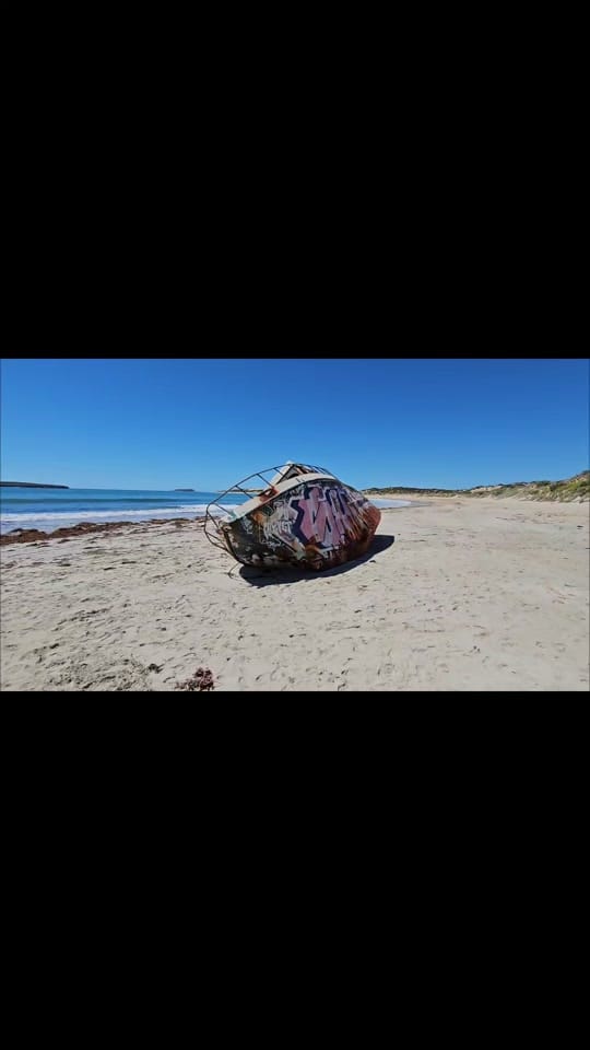 Post 8 by Damo on TikTok (video)