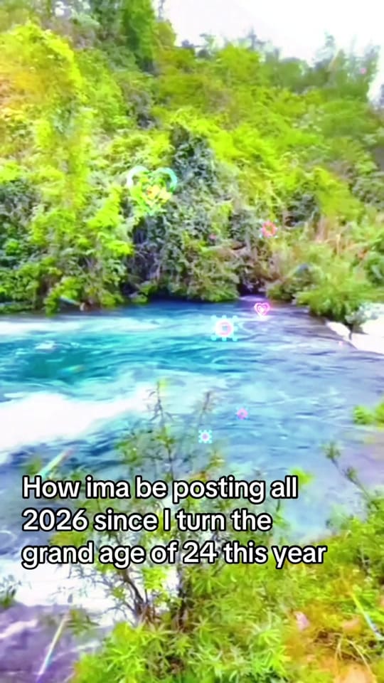 Post 3 by Hailey 💗🌈 on TikTok (video)