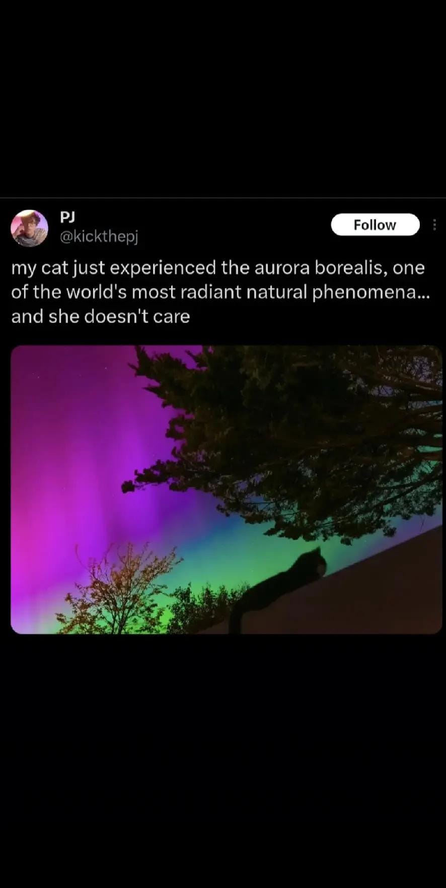 Post 4 by tanya volt on TikTok (video)
