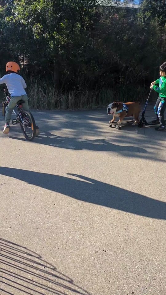 Post 1 by tanya volt on TikTok (video)